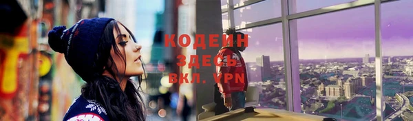 шишки Козловка