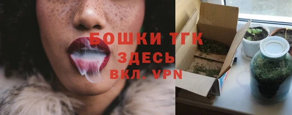 шишки Козловка