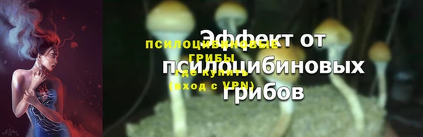 прущая мука Кодинск