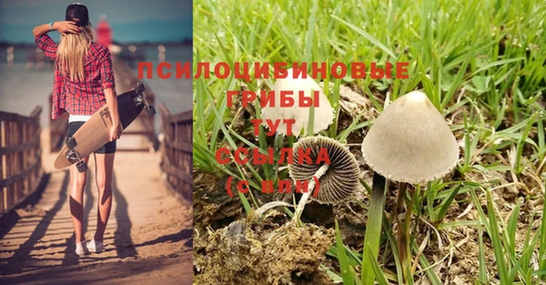 шишки Козловка