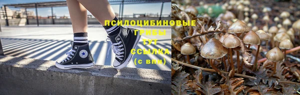 шишки Козловка