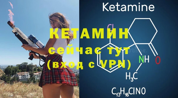 шишки Козловка