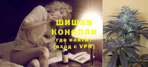 шишки Козловка